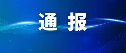 时事爆料最新消息,“突发！最新时事爆料揭示重大事件真相”